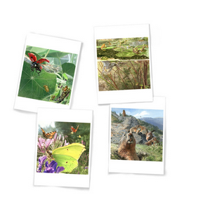 Bildschirmfoto 2020-11-28 um 22.37.29