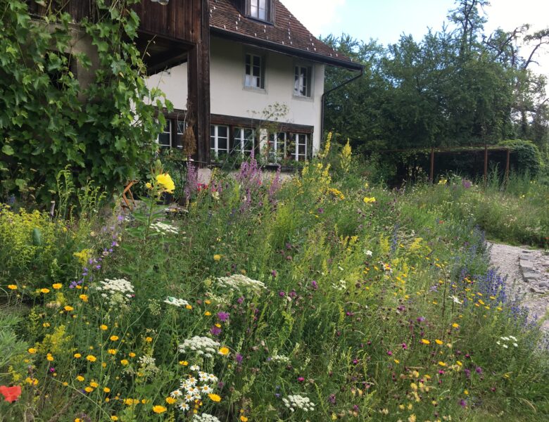 Danis Garten